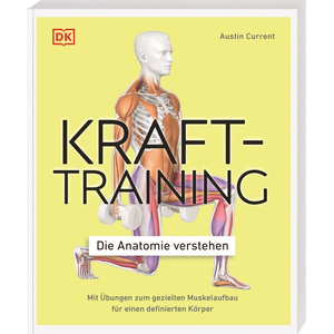 Krafttraining – Die Anatomie verstehen