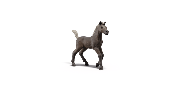 Schleich® 81460 - Sammelfohlen Darcy