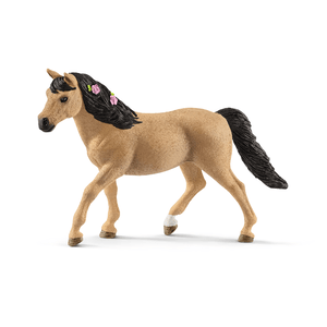 13863 Connemara Pony Stute