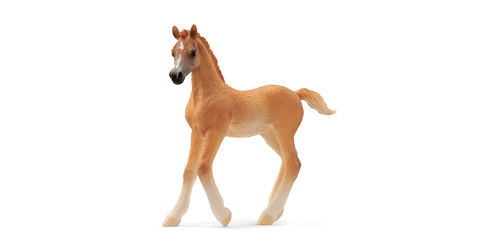 Schleich® 13984 - Araber Fohlen