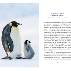 Der Pinguin, der fliegen lernte