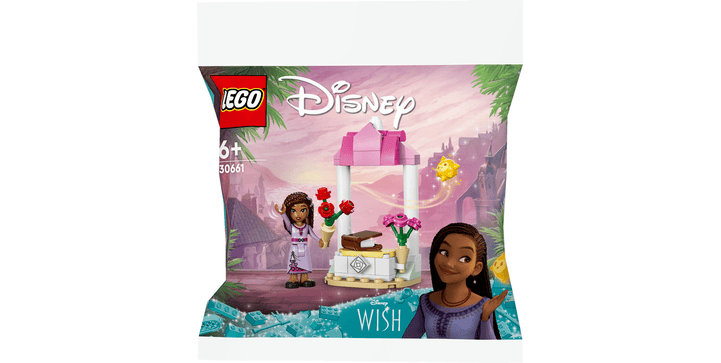 LEGO® Disney 30661 Ashas Begrüßungsstand