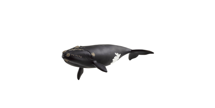 Schleich® 14878 Nordatlantischer Glattwal