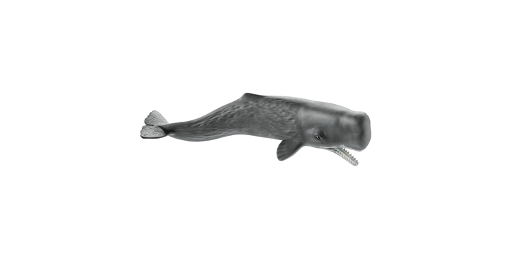 Schleich® 14764 Pottwal